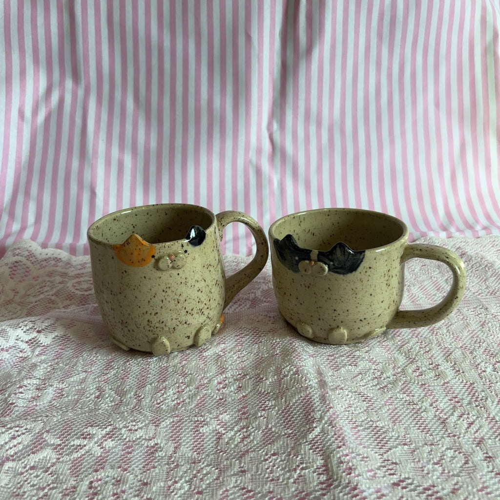 sippy kitty 🐾