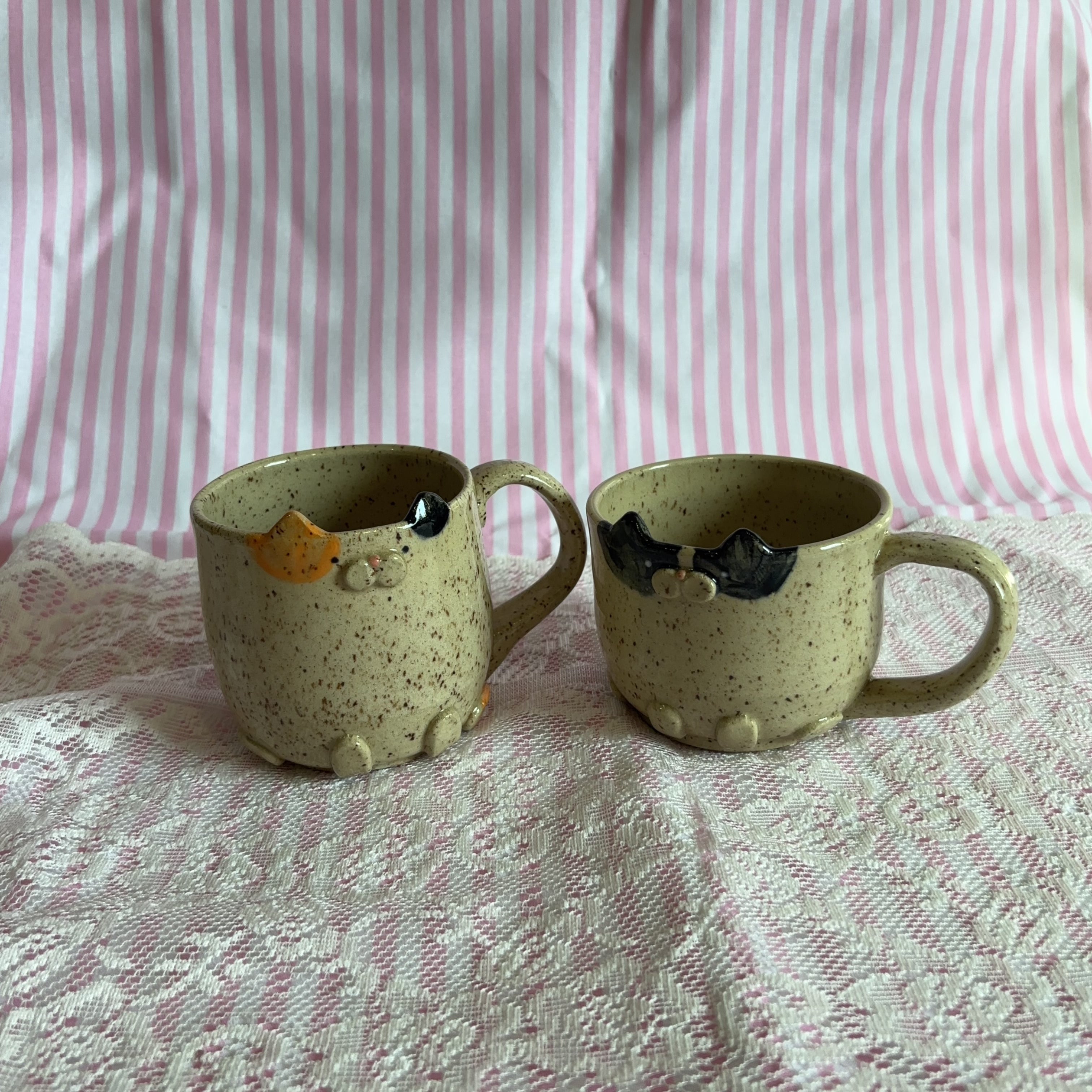 sippy kitty 🐾