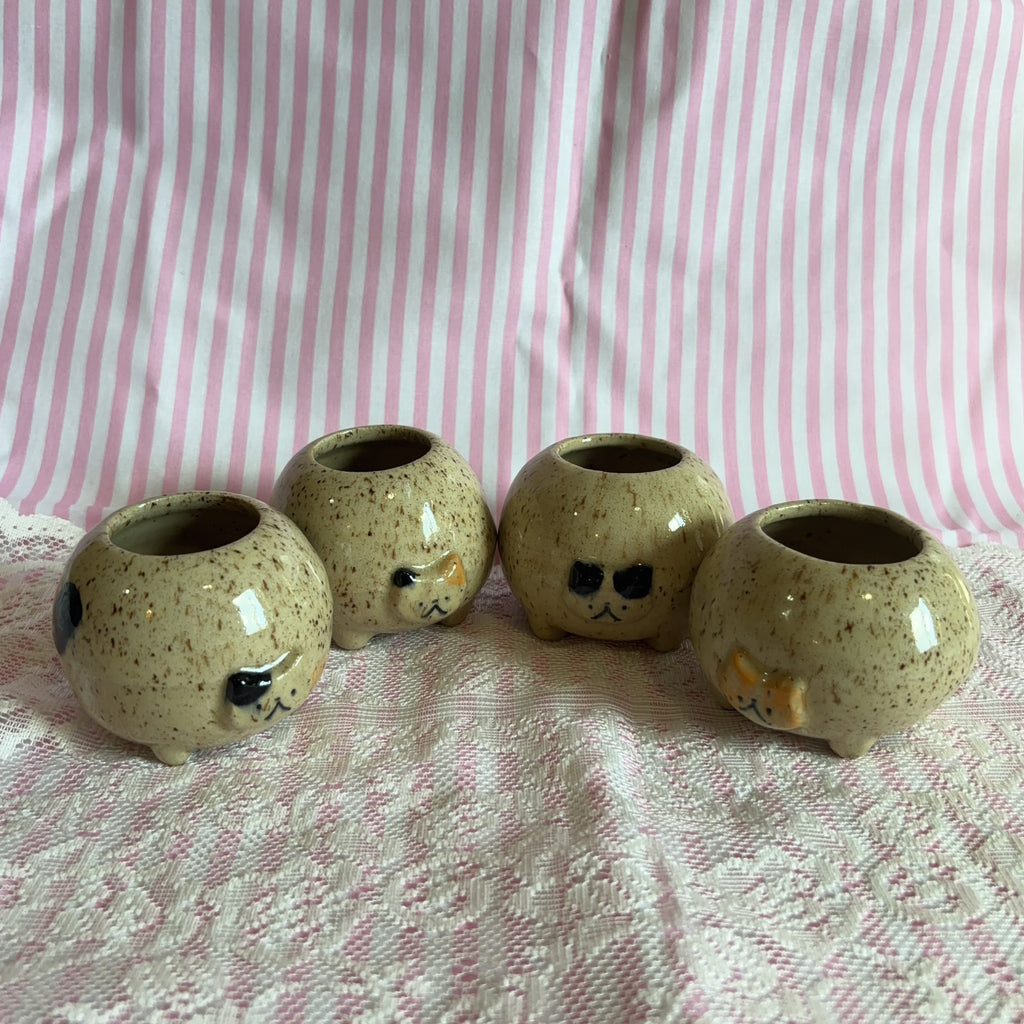rosie cat jar 🍎