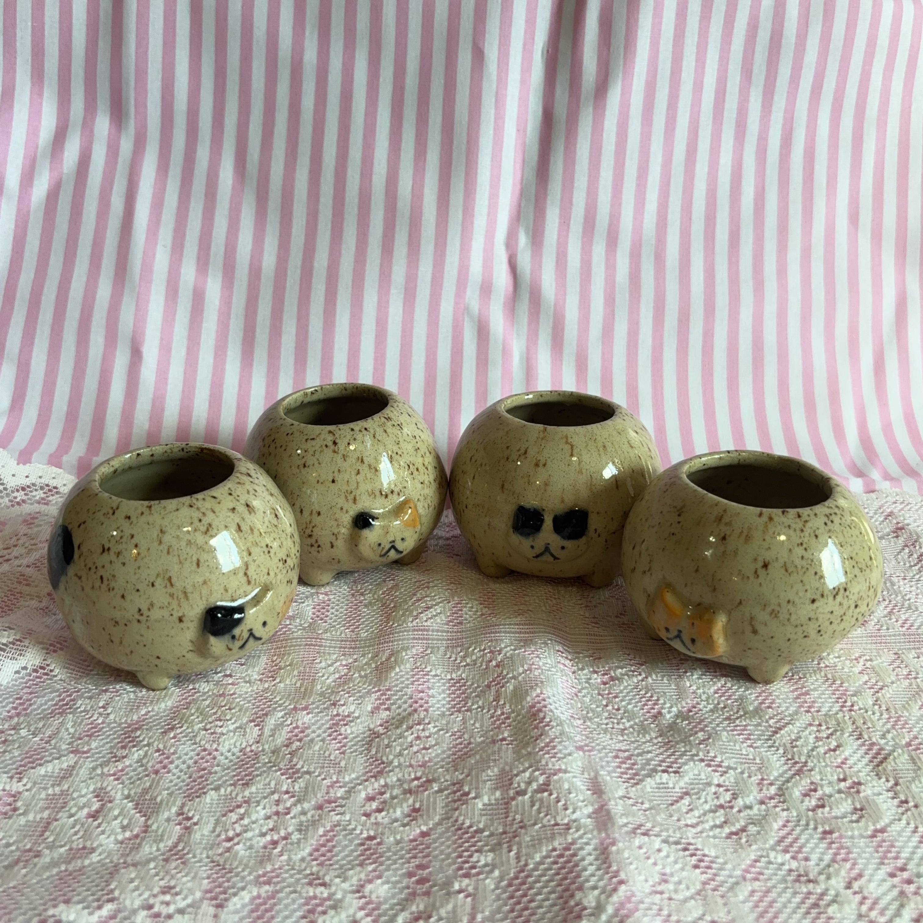 rosie cat jar 🍎