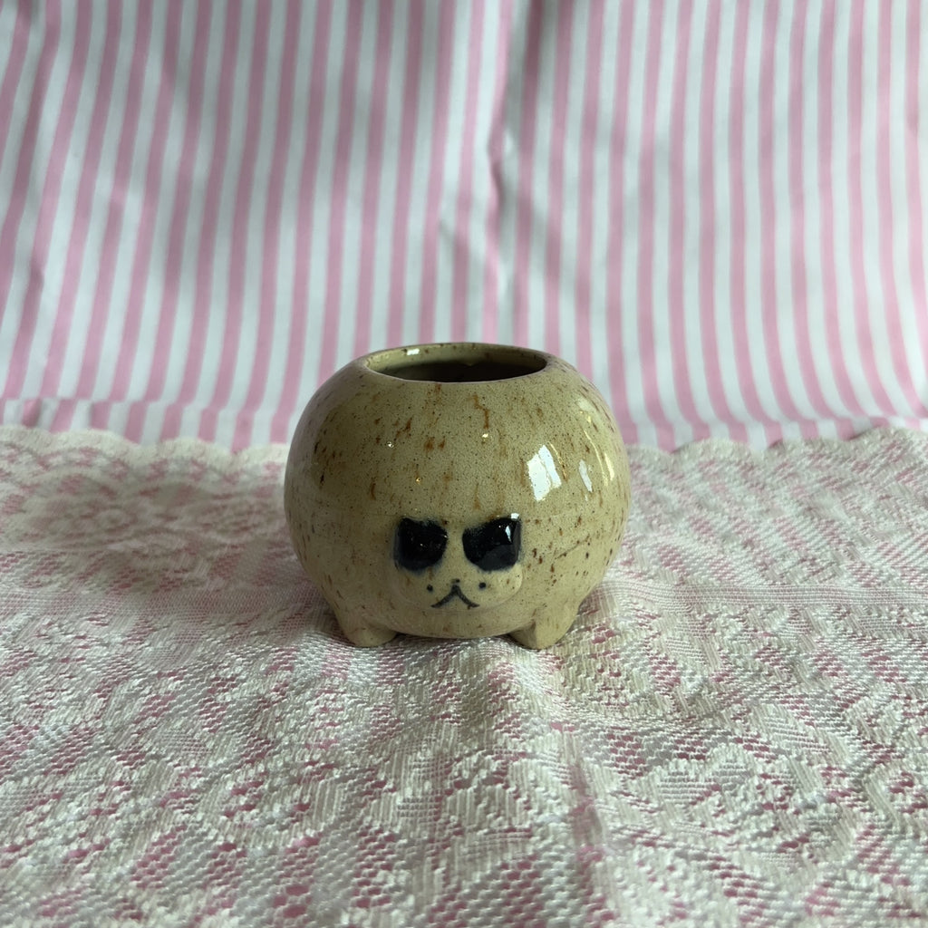 rosie cat jar 🍎