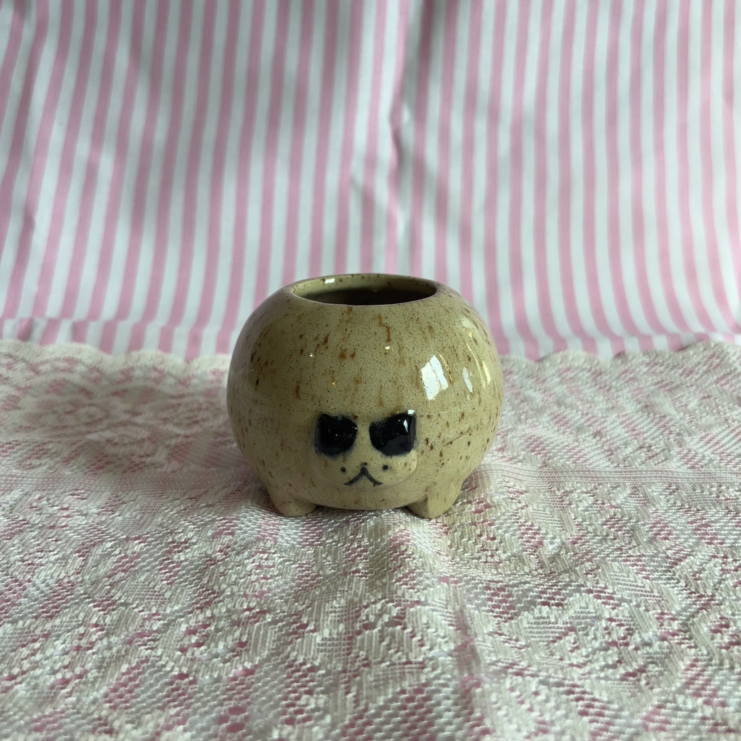 rosie cat jar 🍎