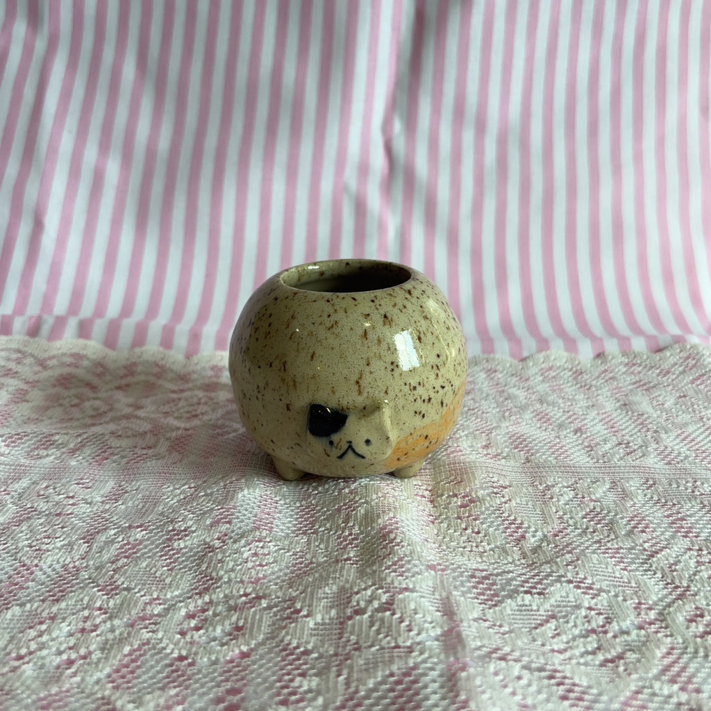 rosie cat jar 🍎