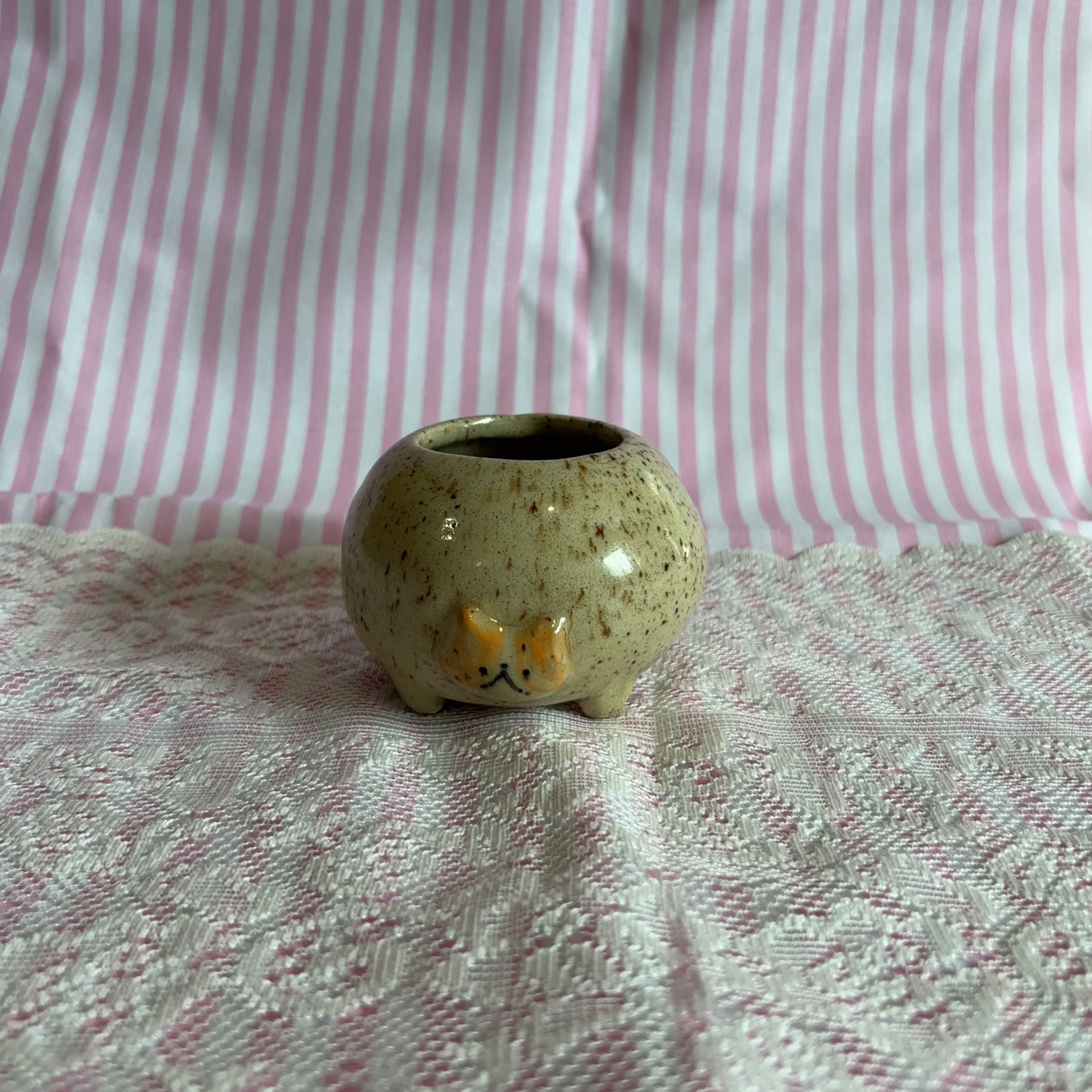 rosie cat jar 🍎