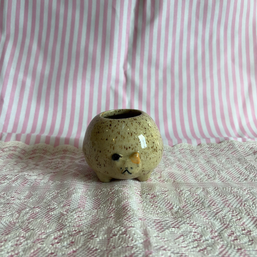rosie cat jar 🍎