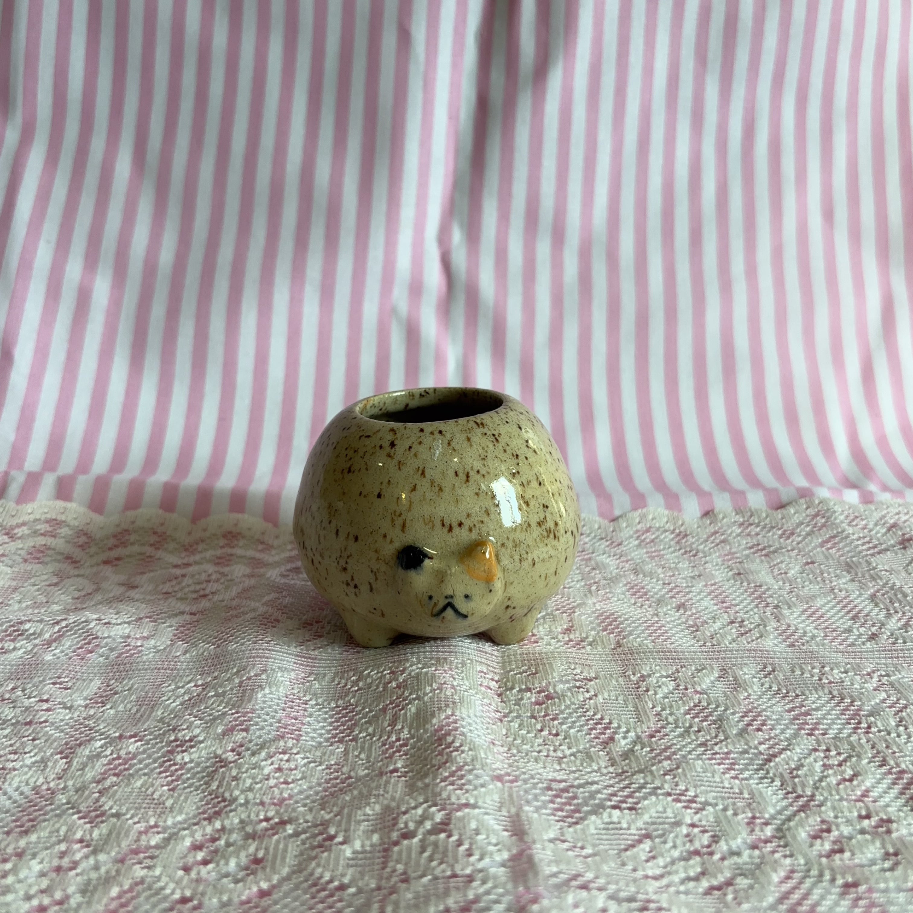 rosie cat jar 🍎