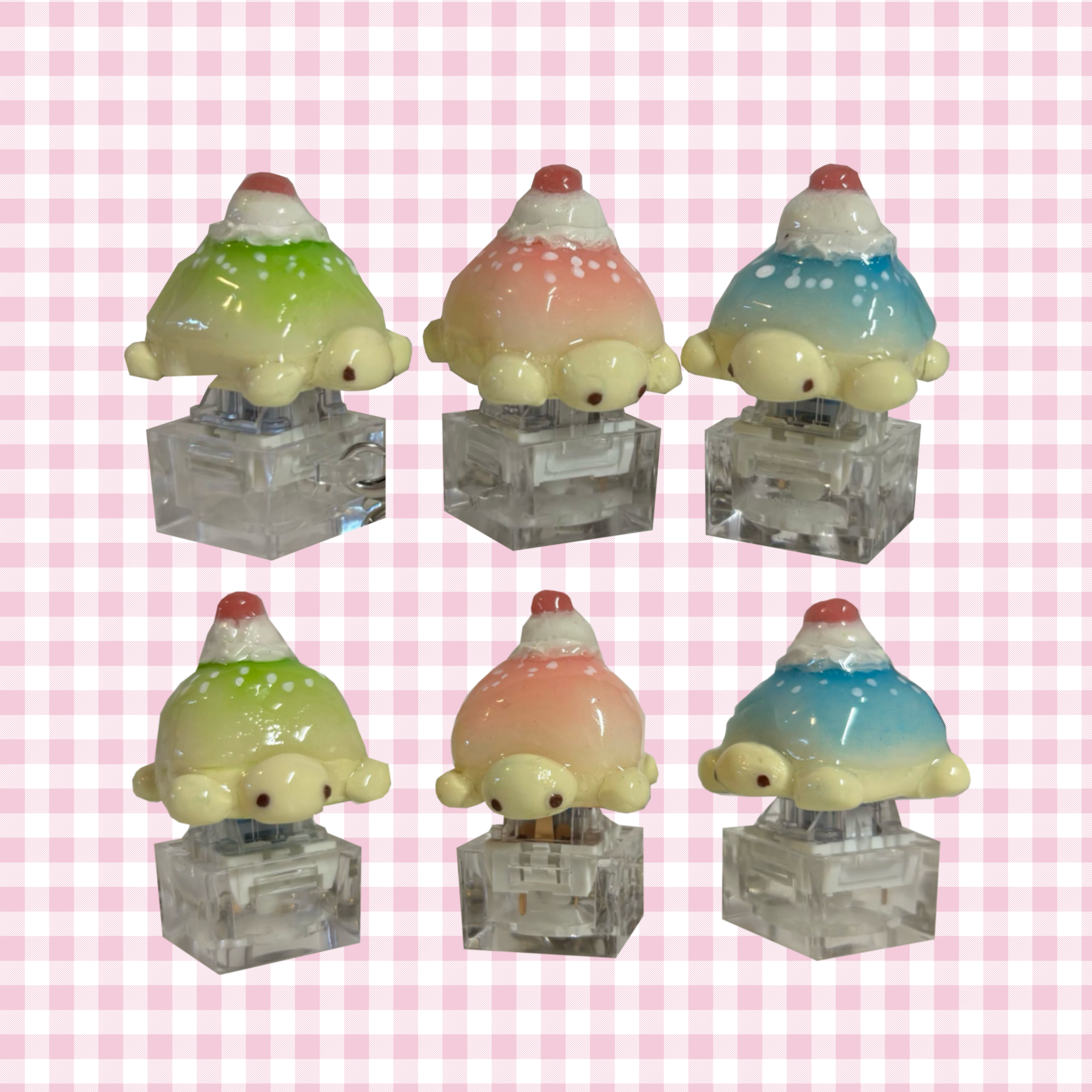 soda float turtles ✮⋆˙